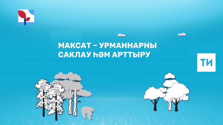 Татарстанда «Экология» проекты буенча урманнарны саклауга 200 млн сум тотылачак