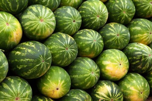 watermelon-2636_960_720