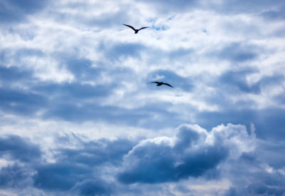 sunlight through dark clouds against blue sky, two flying seagulls