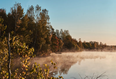 Morning calm lake with mist and reflection of forest on bright autumn day.