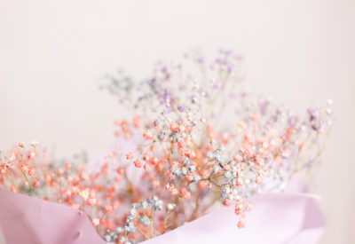 Beautiful decoration cute little dried colorful flowers, background, wallpaper.