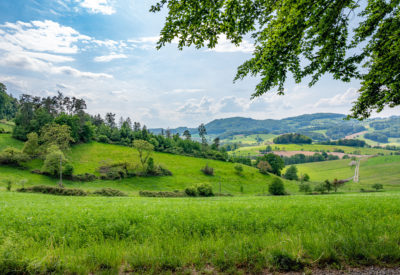 if you like nature, come to the Odenwald