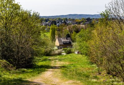 A narrow pathway in a green land surrounded by a lot of trees with houses in the background