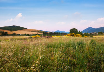Field at foothills. Navarre, Spain