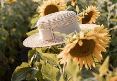 sunflower-field-with-summer-hat