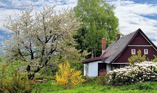 Нинди агачларны, куакларны һәм яшелчәләрне бергә утыртырга ярый?