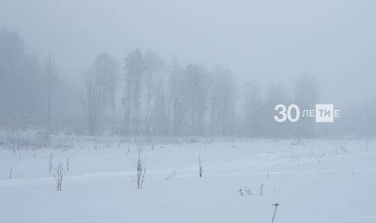 Арктик циклон аркасында атна ахырында Казанда кисәк суытачак